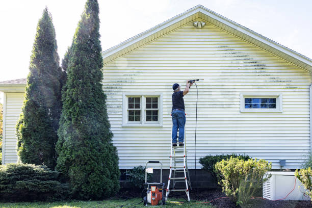 Best Sidewalk and Walkway Cleaning  in Badin, NC